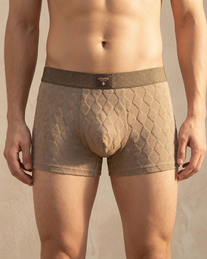 Men's Cotton Boxer Briefs – Breathable 3-Pack Underwear – view 10